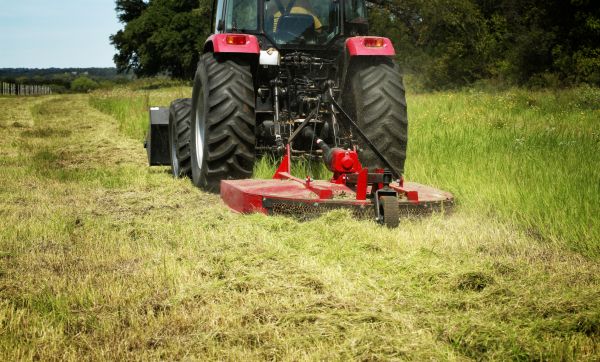 Cost of Brush Clearing Service in Tuscaloosa