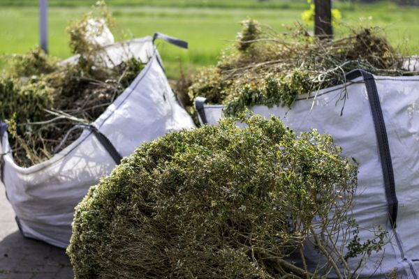 Cost of Bushes Clearing in Tuscaloosa