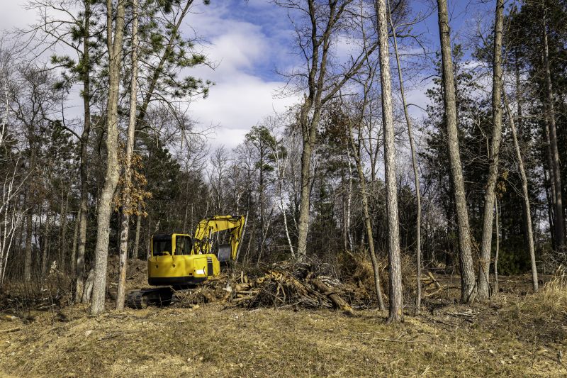 Easement Land Clearing